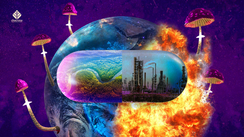 psychedelics are a placebo for the climate crisis