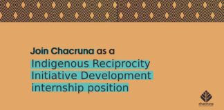 IRI Development Outreach Internship (CLOSED)