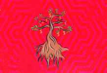 The Future of Ayahuasca Under Dispute in Brazil The future of ayahuasca under dispute in Brazil