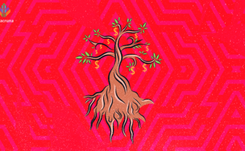 The Future of Ayahuasca Under Dispute in Brazil The future of ayahuasca under dispute in Brazil