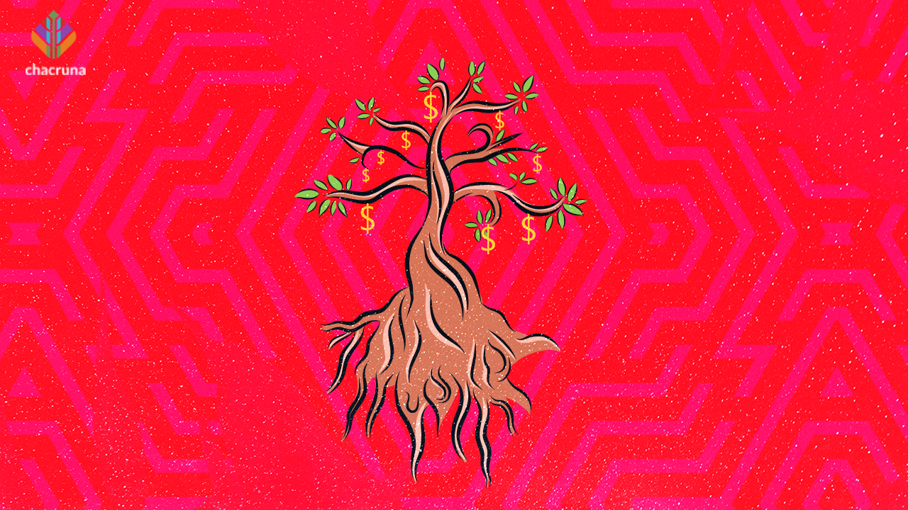 The future of ayahuasca under dispute in Brazil