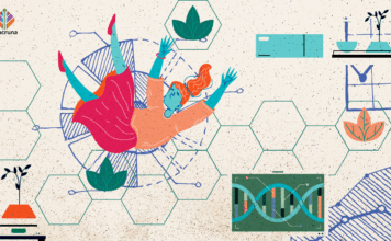 A Call for Women’s Representation in Psychedelic Research call for women's representation in psychedelic research