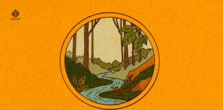 Caring for the Vine ayahuasca conservation in brazil