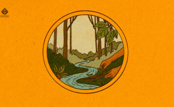 Caring for the Vine ayahuasca conservation in brazil