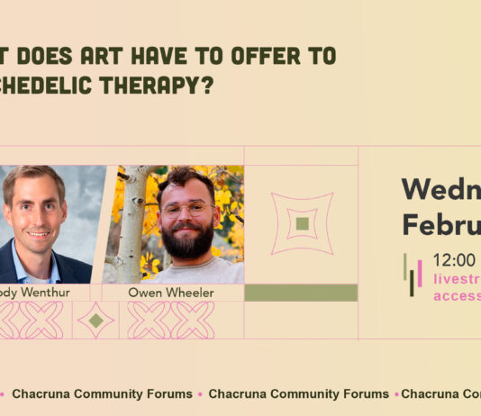 What does art have to offer to psychedelic therapy?