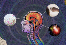 The Tangled Web of Psychedelics and Memory The Tangled Web of Psychedelics and Memory