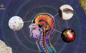 The Tangled Web of Psychedelics and Memory The Tangled Web of Psychedelics and Memory