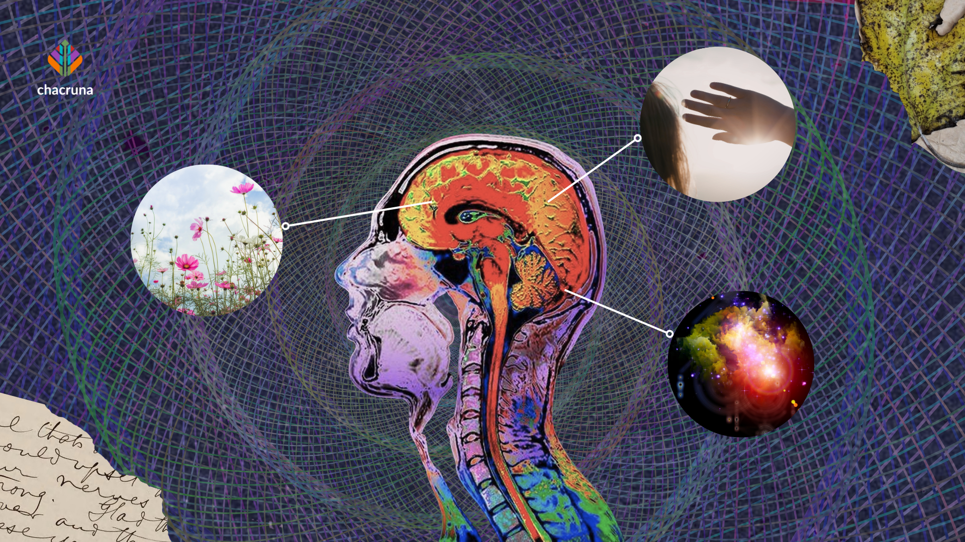 The Tangled Web of Psychedelics and Memory