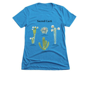 Women’s Slim Fit Tee