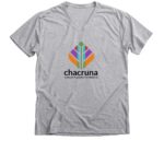Premium V-neck Tee