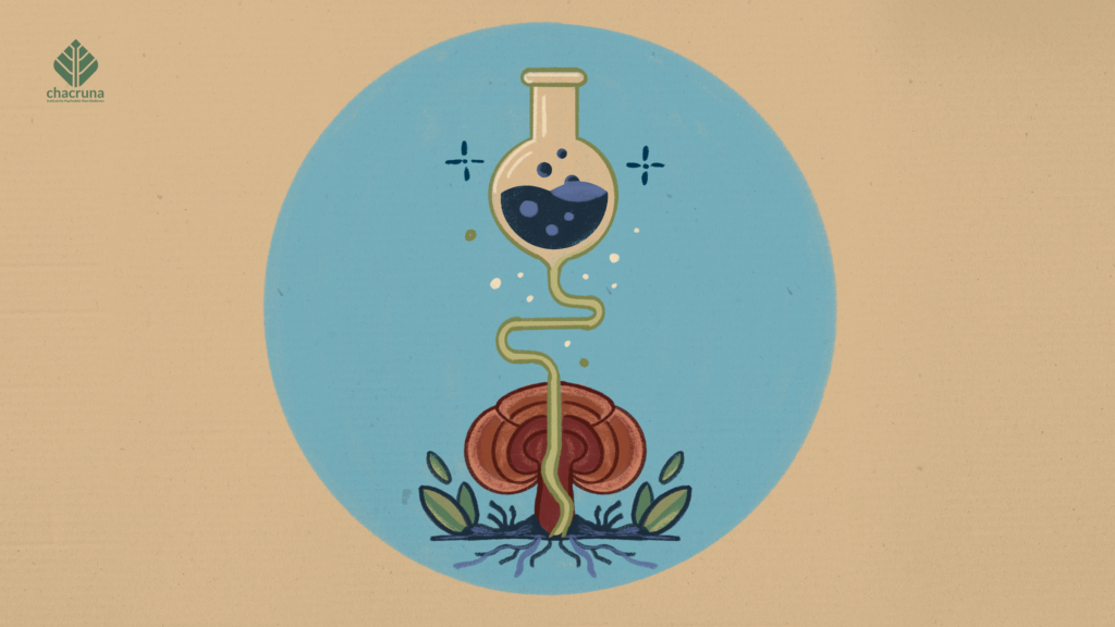 The Psychedelic Renaissance Has a New Owner: Big Pharma