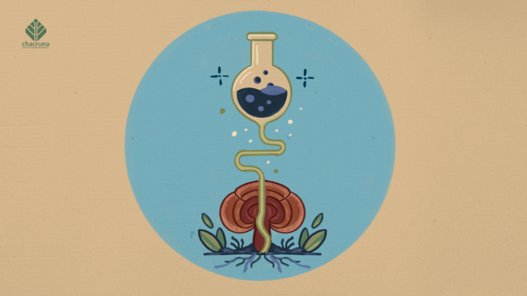 The Psychedelic Renaissance Has a New Owner: Big Pharma