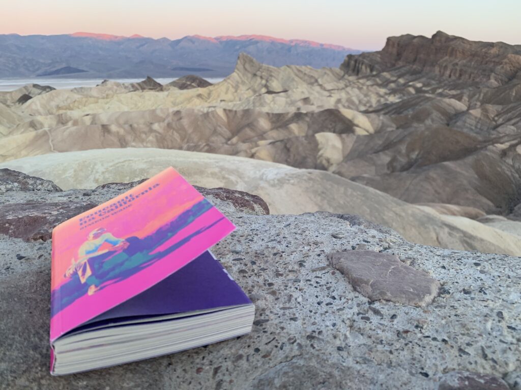 Copy of Foucault in California laying on a ledge, with Zabriskie Point in the background.